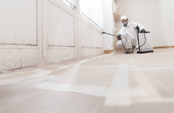 24/7 Emergency Crawl Space Mold Removal experts in Kingston, PA
